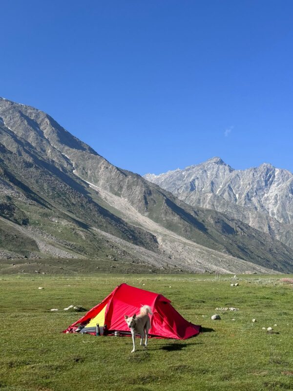 GIPFEL KRAKEN TENT SERIES