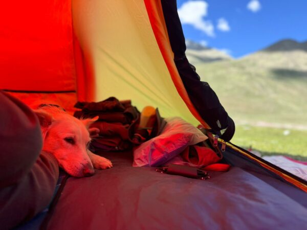 GIPFEL KRAKEN TENT SERIES